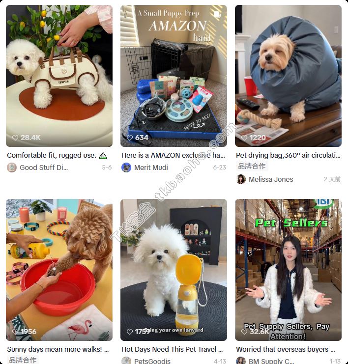 TikTok宠物用品类目