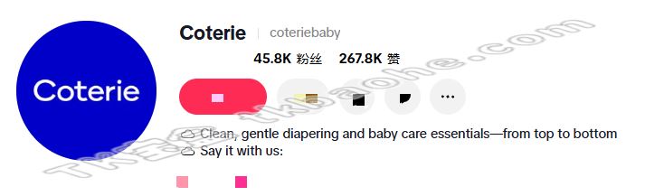 Coterie官方账号内容