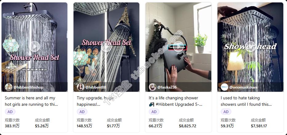 Hibbent TikTok营销数据