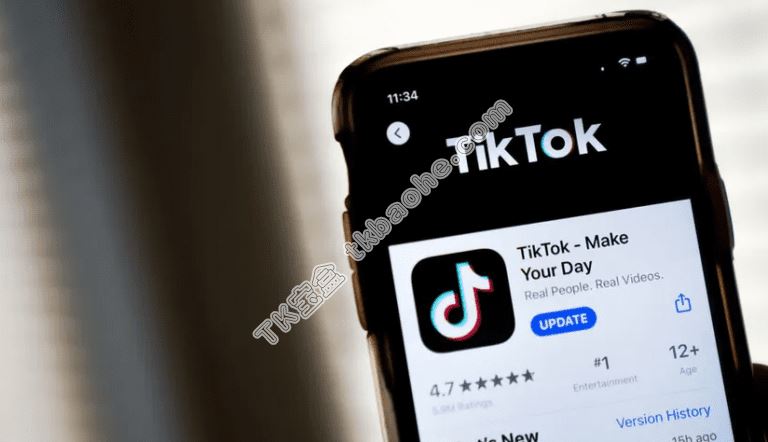 TikTok电商闭环模式示意图