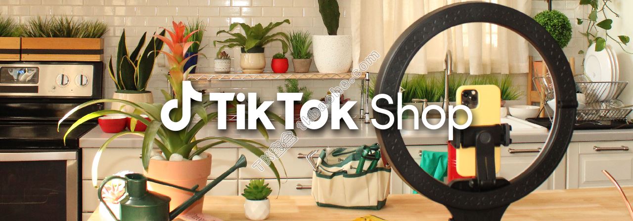 TikTok Shop与亚马逊美国市场规模对比