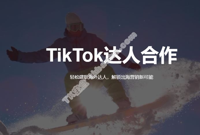 TikTok达人合作投放服务商