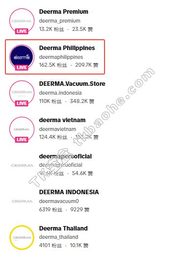 Deerma Philippines账号