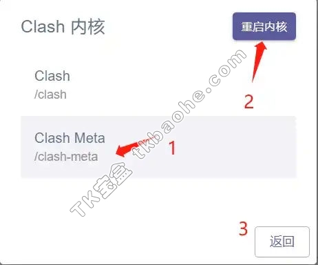 change clash verge core